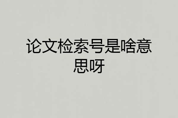 论文检索号是啥意思呀