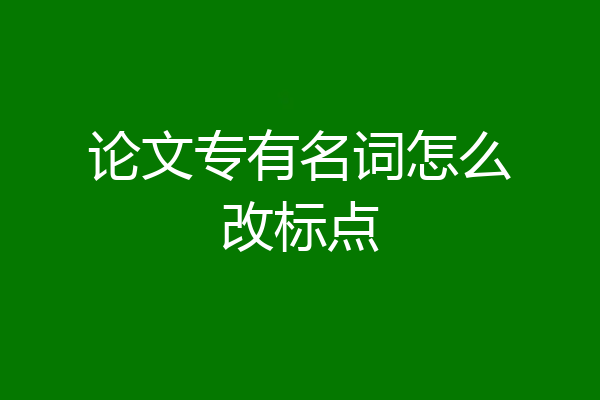 论文专有名词怎么改标点