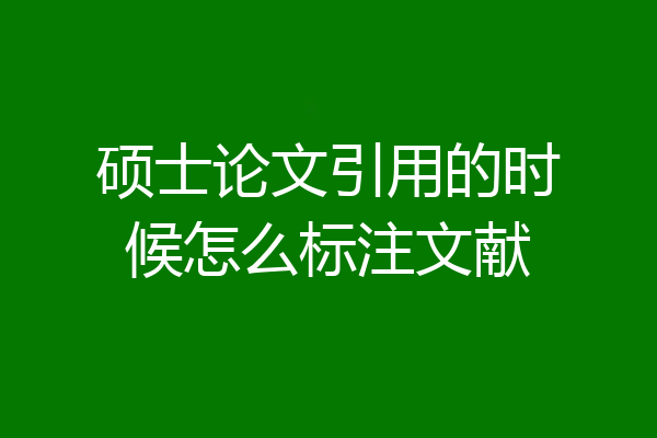 硕士论文引用的时候怎么标注文献