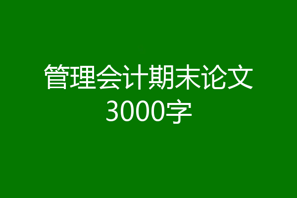 管理会计期末论文3000字