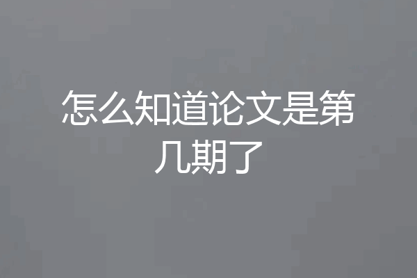 怎么知道论文是第几期了