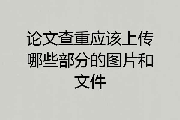 论文查重应该上传哪些部分的图片和文件