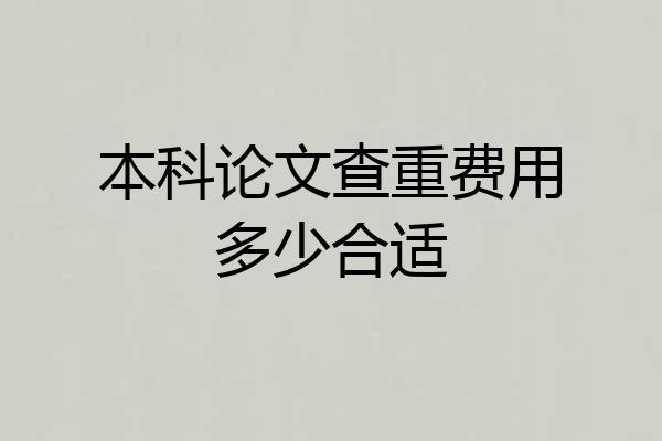 本科论文查重费用多少合适