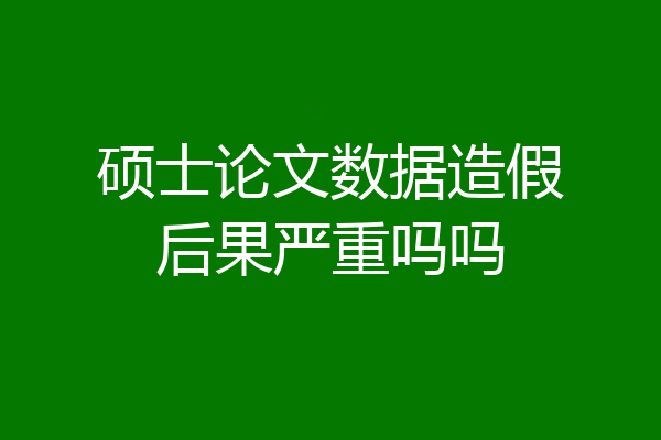 硕士论文数据造假后果严重吗吗