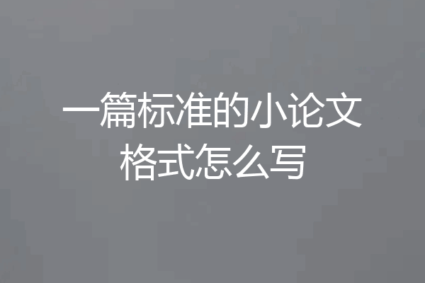 一篇标准的小论文格式怎么写