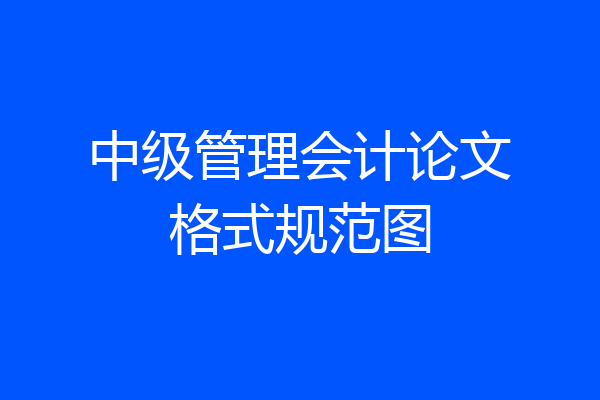 中级管理会计论文格式规范图