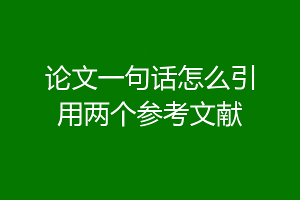 论文一句话怎么引用两个参考文献