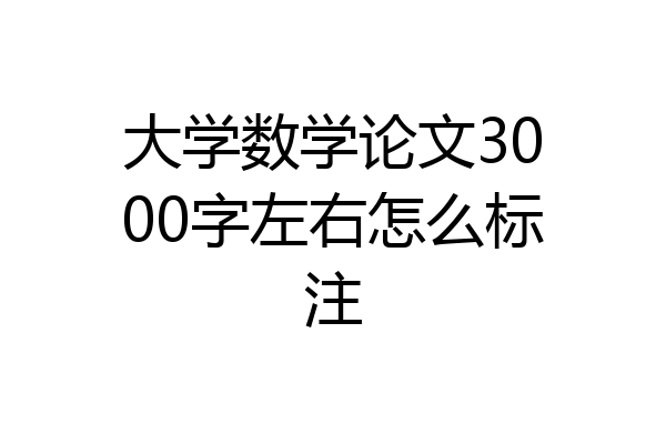 大学数学论文3000字左右怎么标注