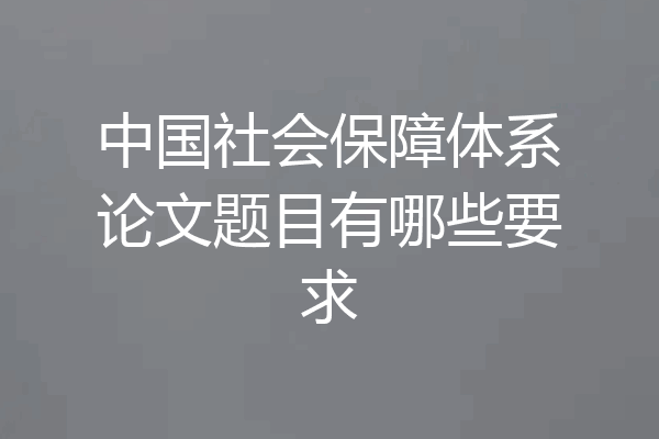 中国社会保障体系论文题目有哪些要求