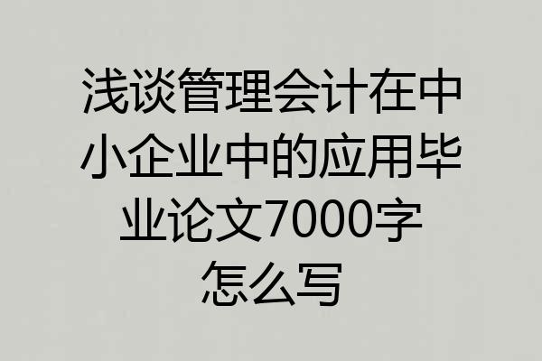 浅谈管理会计在中小企业中的应用毕业论文7000字怎么写