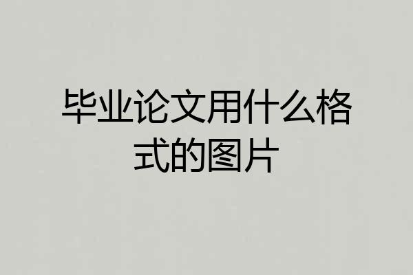 毕业论文用什么格式的图片