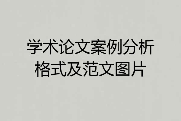 学术论文案例分析格式及范文图片