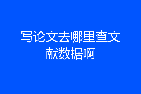 写论文去哪里查文献数据啊