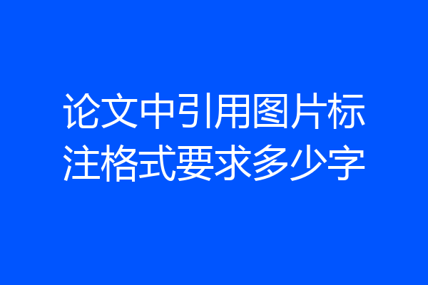 论文中引用图片标注格式要求多少字