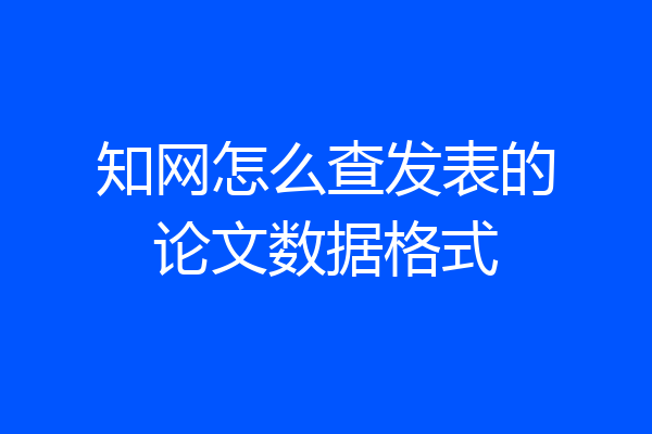 知网怎么查发表的论文数据格式