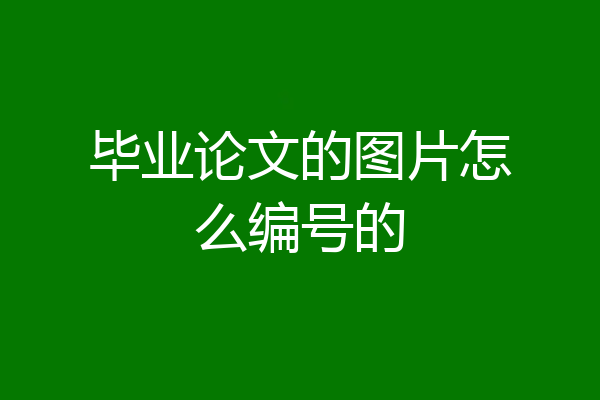 毕业论文的图片怎么编号的