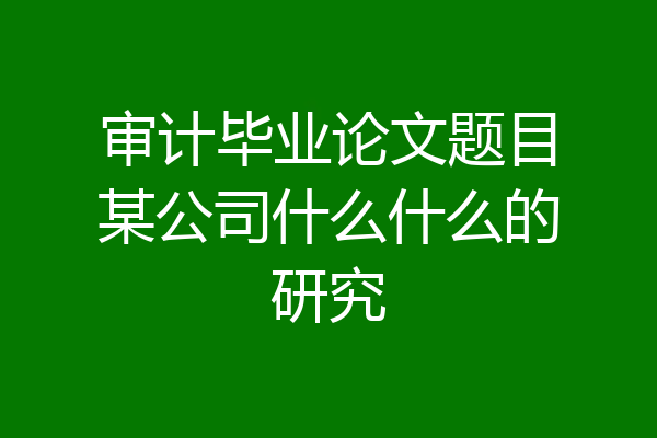 审计毕业论文题目某公司什么什么的研究