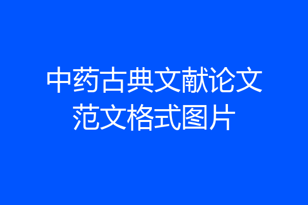 中药古典文献论文范文格式图片
