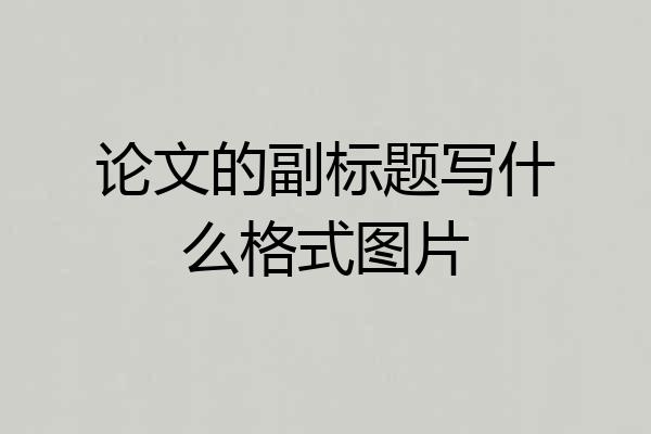 论文的副标题写什么格式图片
