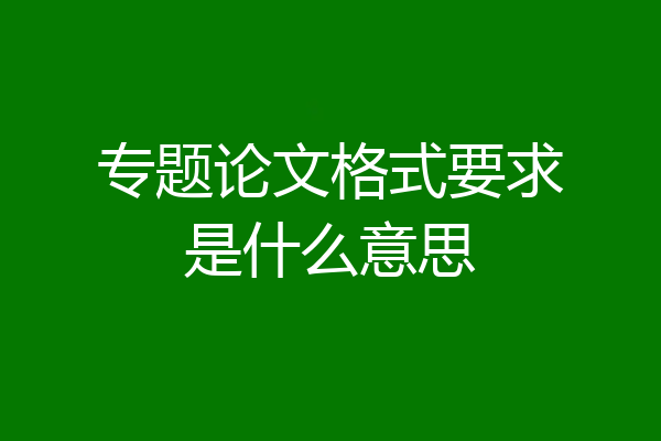 专题论文格式要求是什么意思