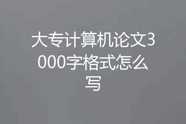 大专计算机论文3000字格式怎么写