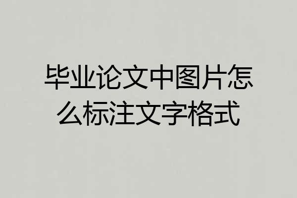 毕业论文中图片怎么标注文字格式