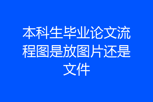 本科生毕业论文流程图是放图片还是文件