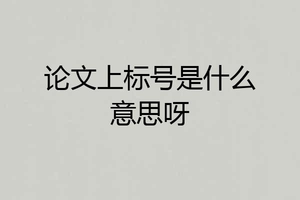 论文上标号是什么意思呀