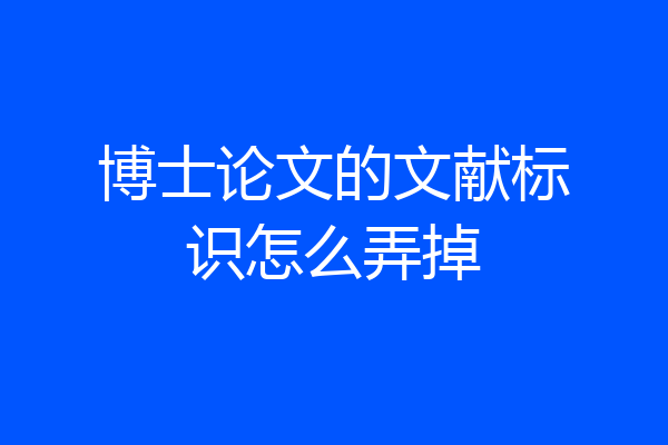 博士论文的文献标识怎么弄掉