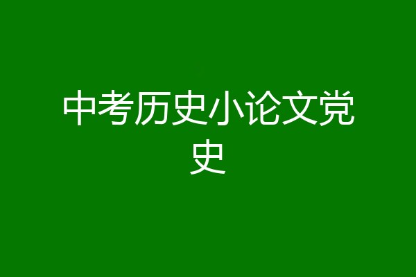 中考历史小论文党史