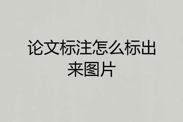论文标注怎么标出来图片