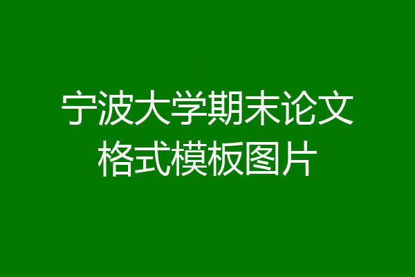 宁波大学期末论文格式模板图片