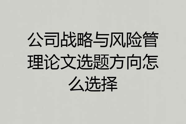 公司战略与风险管理论文选题方向怎么选择