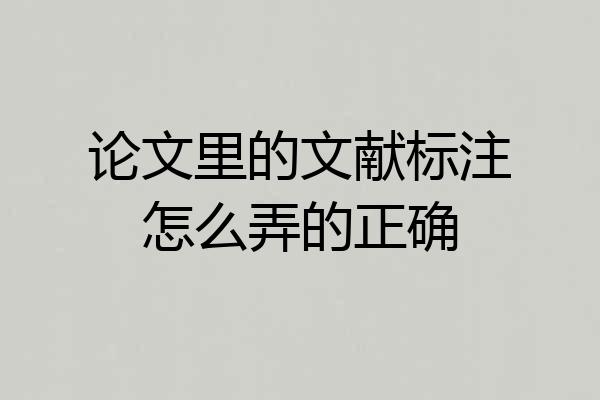 论文里的文献标注怎么弄的正确