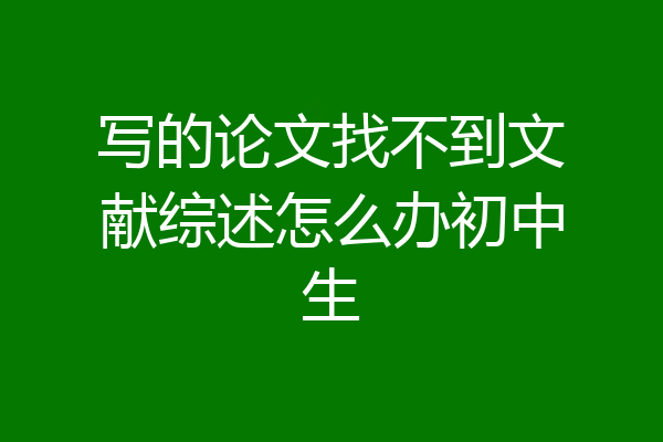 写的论文找不到文献综述怎么办初中生