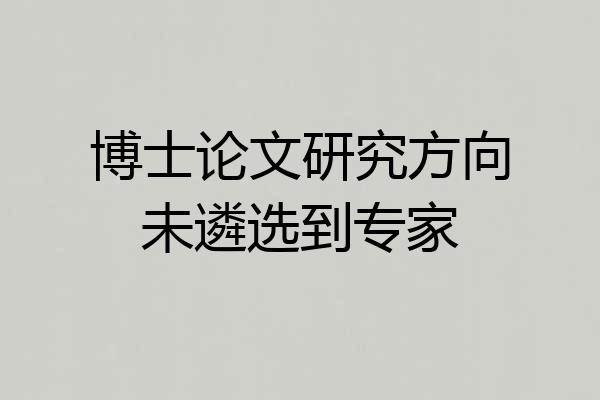 博士论文研究方向未遴选到专家