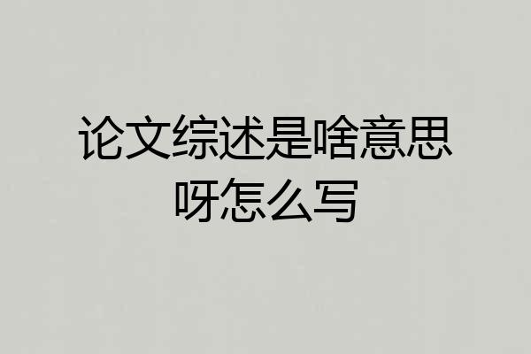 论文综述是啥意思呀怎么写