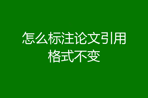 怎么标注论文引用格式不变