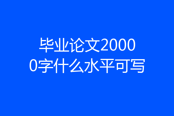 毕业论文20000字什么水平可写