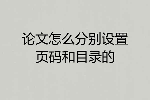 论文怎么分别设置页码和目录的
