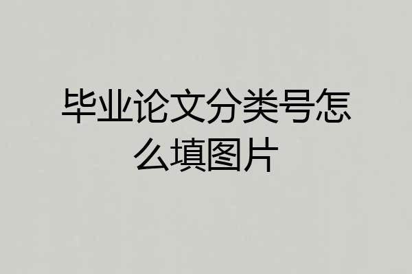 毕业论文分类号怎么填图片