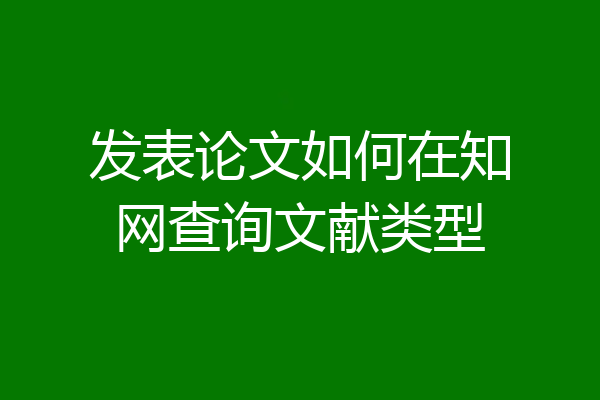 发表论文如何在知网查询文献类型