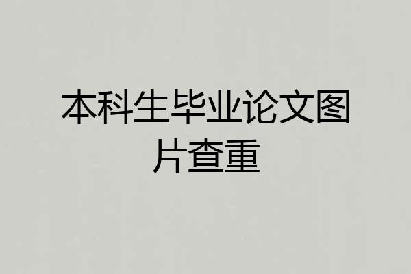 本科生毕业论文图片查重
