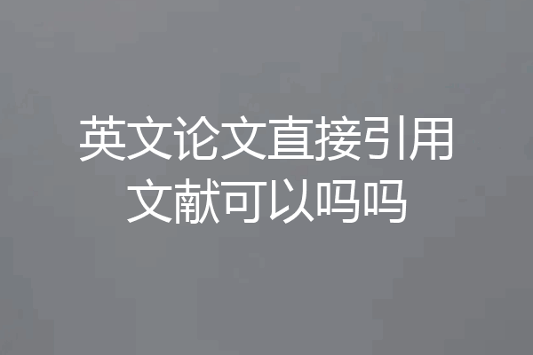 英文论文直接引用文献可以吗吗