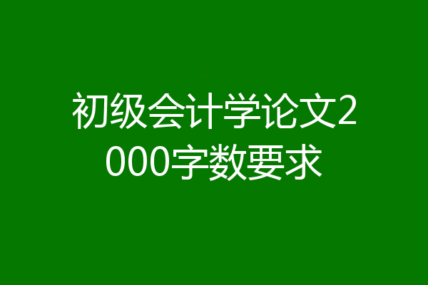 初级会计学论文2000字数要求