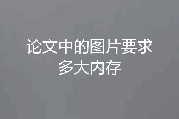 论文中的图片要求多大内存