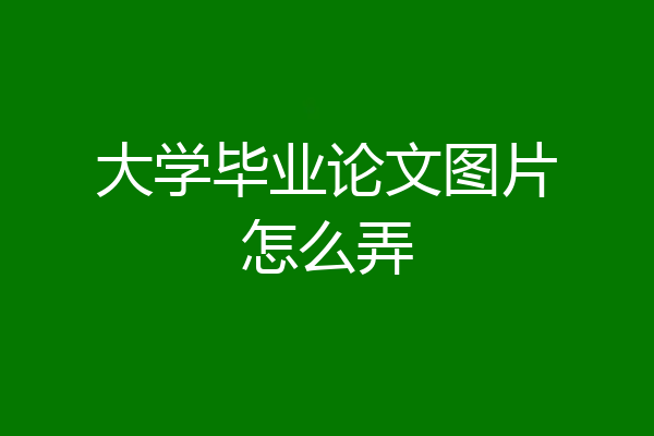 大学毕业论文图片怎么弄