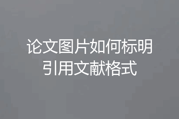 论文图片如何标明引用文献格式
