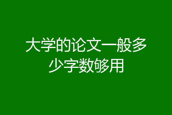 大学的论文一般多少字数够用