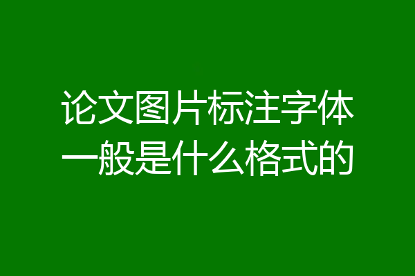 论文图片标注字体一般是什么格式的